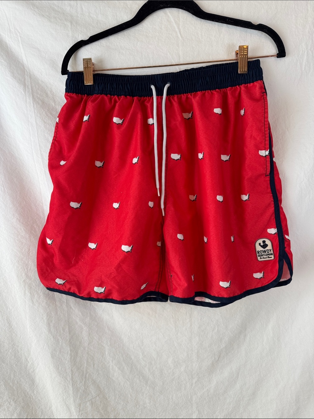 Rowdy Gentlemen Swim Trunks Large